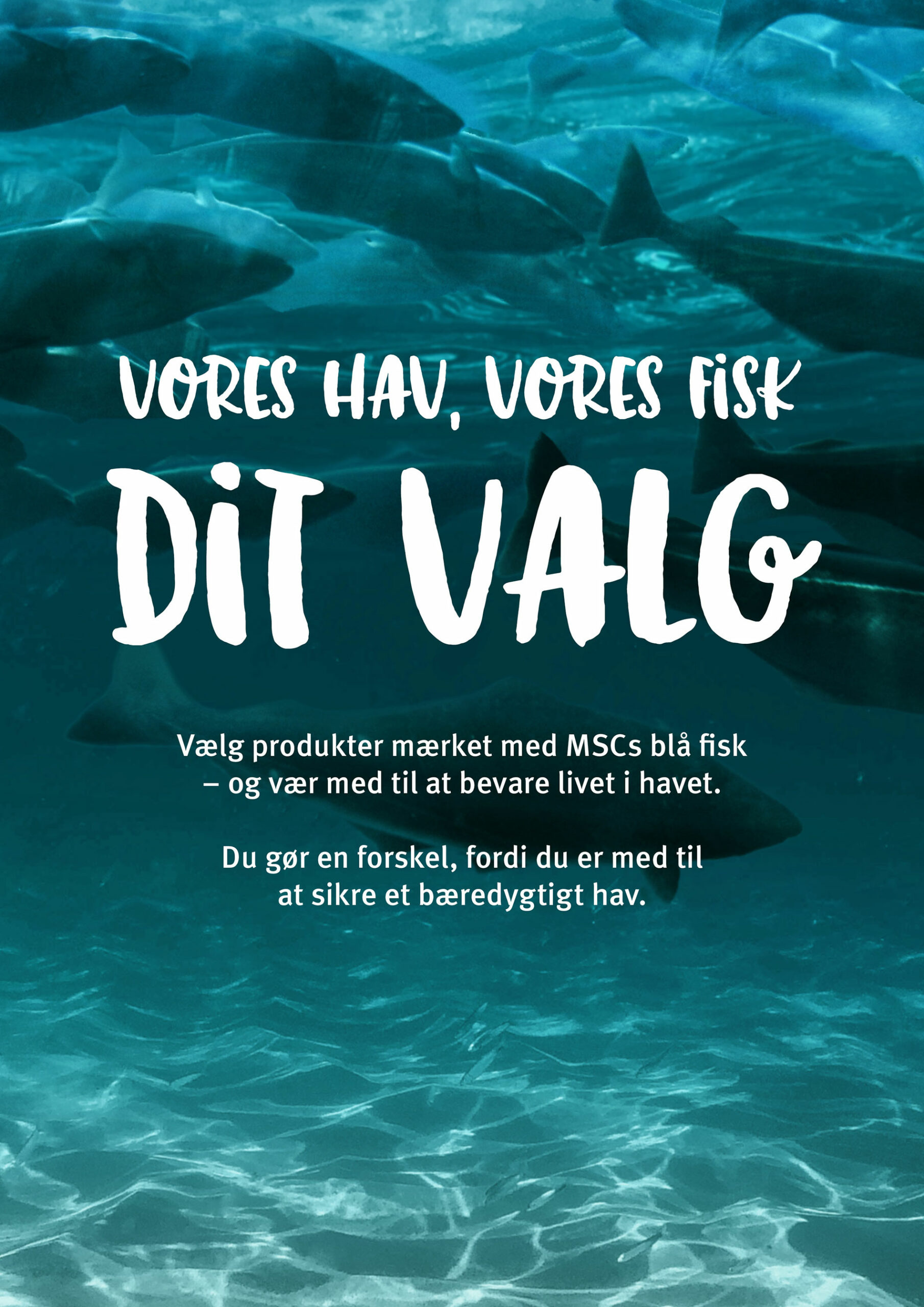 Billede fra MSC's 2020 kampagne med budskabet: "Vores hav, vores fisk, dit valg."